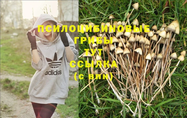 трава Абинск