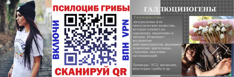 площадка состав  Усолье  Псилоцибиновые грибы Psilocybine cubensis 